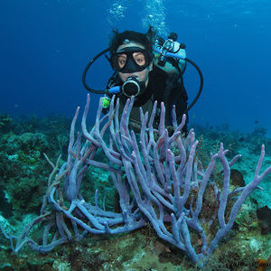 Meet your Posher, Karen